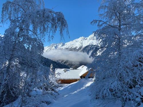 L'orée des pistes - Location saisonnière - Oz