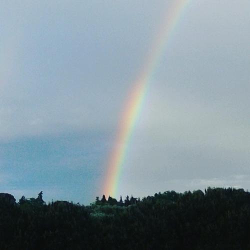 LA CASA NELLA PRATERIA - Accommodation - Misano Adriatico