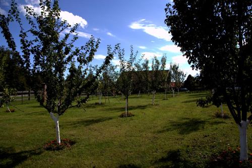 Brezova Poljana Lodge