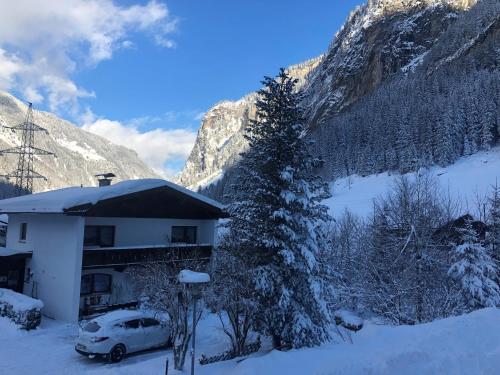 Vedere, Appartement Ginzling Haus Eder in Finkenberg