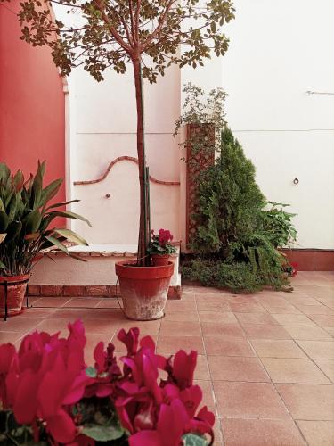 Ziza, Córdoba (foto 7)