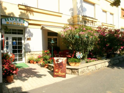 Hotel Baross, Győr bei Lipót