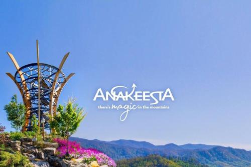 *Dog Friendly*Modern home-Minutes to Dollywood, Gatlinburg, Smoky Mountains & Pigeon Forge!