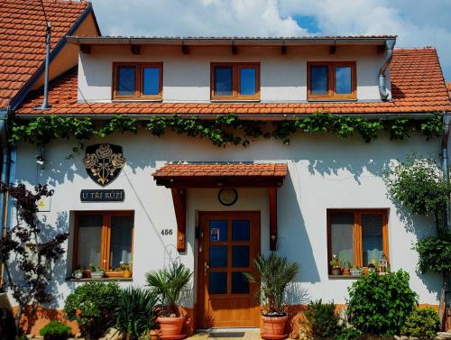 Exterior view, Penzion U TRI RUZI - Adults Only in Vrbice
