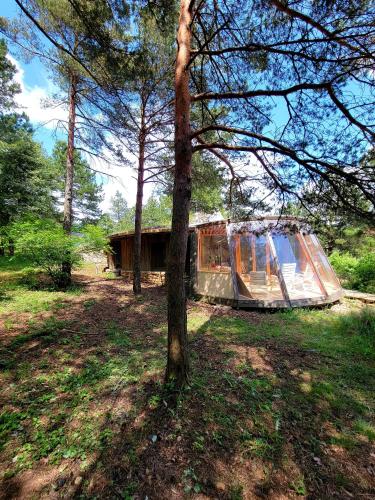 Maison Ronde Atypique gîte à louer La Vacquerie-et-Saint-Martin-de-Castries