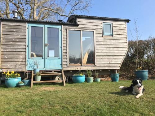 B&B Ashburton - Secluded Shepherds Hut, with a view and hot tub - Bed and Breakfast Ashburton