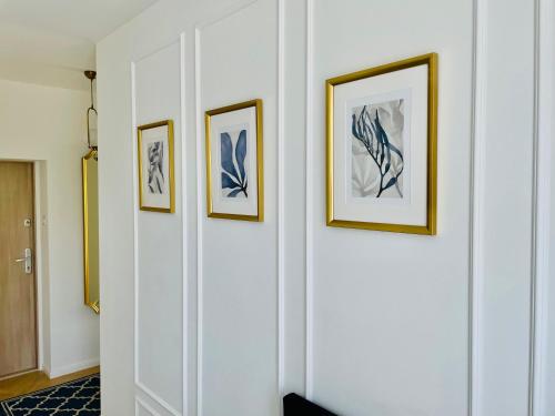 Instalações, Lux New Port in Przerobka