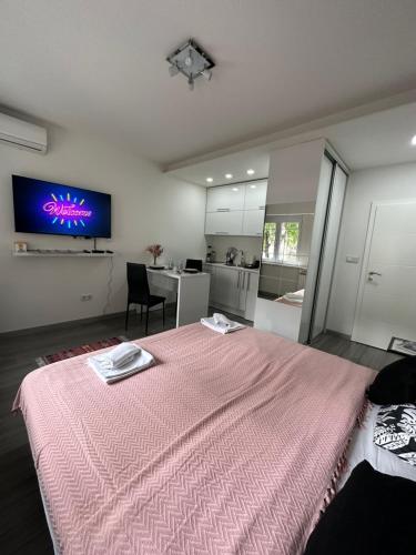 Apartment Marijana - image 11