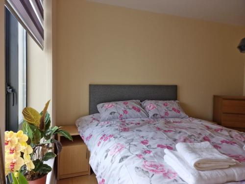 Clearwater Apartment, Dublín (foto 9)