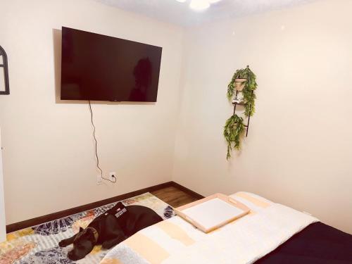 Jet Skis, Lake View, Sleeps 8, HotTub, Firepit, Pet Friendly! in Canyon Lake, USA
