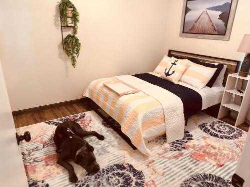 Jet Skis, Lake View, Sleeps 8, HotTub, Firepit, Pet Friendly! in Canyon Lake, USA