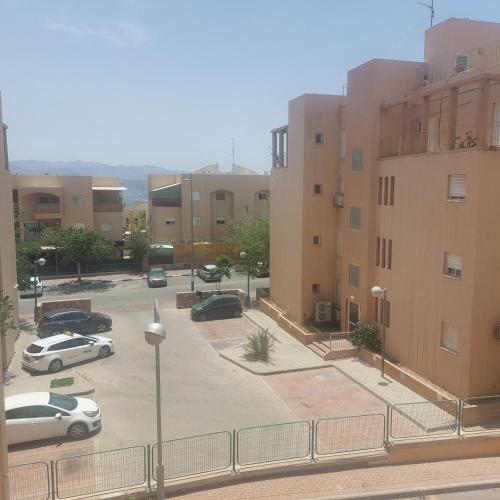 bloom, Eilat (photo 4)