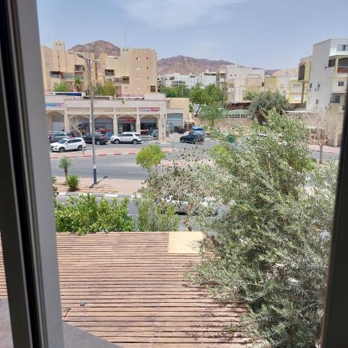 bloom, Eilat (photo 3)