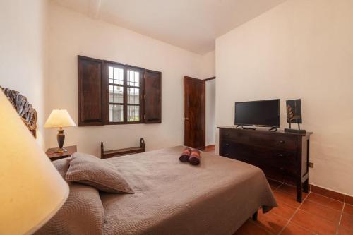 Casita Los Búhos, Antigua Guatemala (fotografie 8)