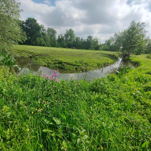 Les Aires en Scènes au bord de l'eau