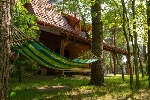 Apkārtne, Całoroczny Domek nad Jeziorem (Caloroczny Domek nad Jeziorem) in Jedlanka Stara