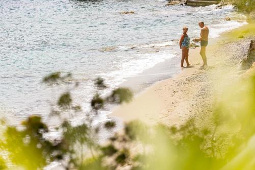 Golden View - image 13