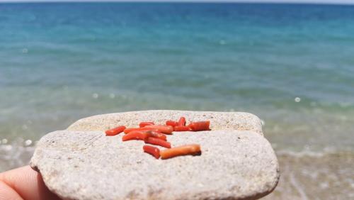 Appartamento Mare Blu