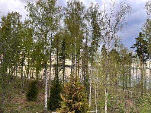 Pan Golf & Spa Villas, Imatra (zdjęcie 6)