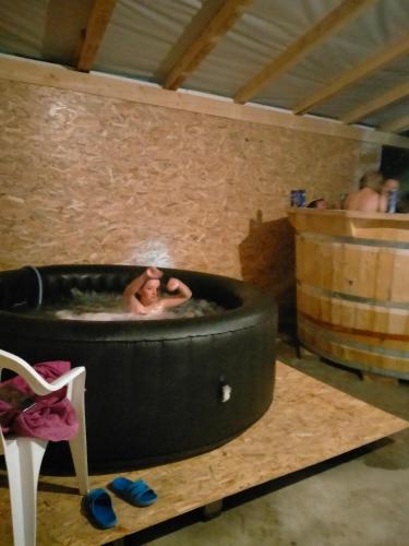 Maramureș plai cu flori (Maramures plai cu flori) in Ocna Sugatag