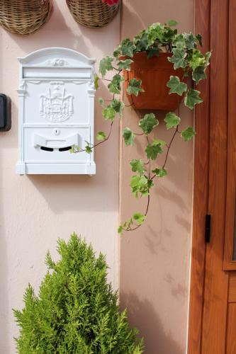 CAMARDA SUITE CAMARDA SUITE