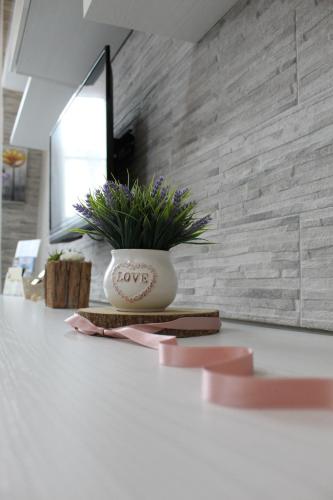 CAMARDA SUITE CAMARDA SUITE