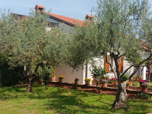  Apartment AnaLaura in Umag