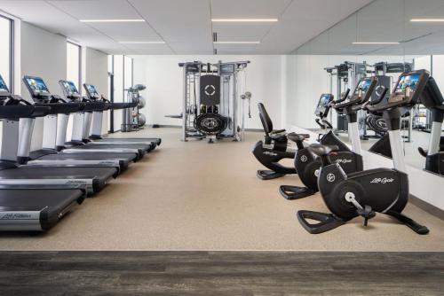 Houston Marriott South at Hobby Airport - image 11