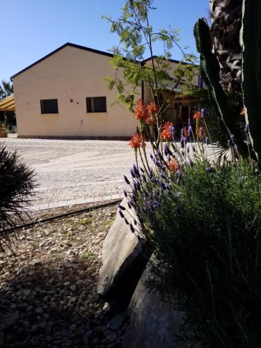 AGRIALMA in Villaggio Peruzzo