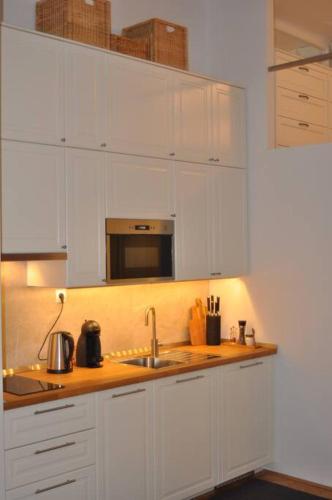 Jane's Place, experience the atmosphere of a historic villa & free parking, Ljubljana (photo 9)