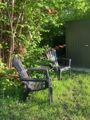 Beautiful Amstel houseboat - image 5