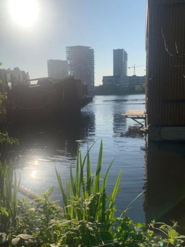 Beautiful Amstel houseboat - image 12