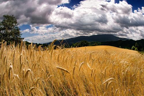 Agriturismo Biologico Autosufficienza