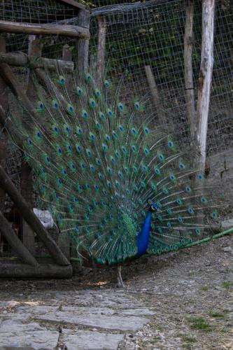 Agriturismo Biologico Autosufficienza