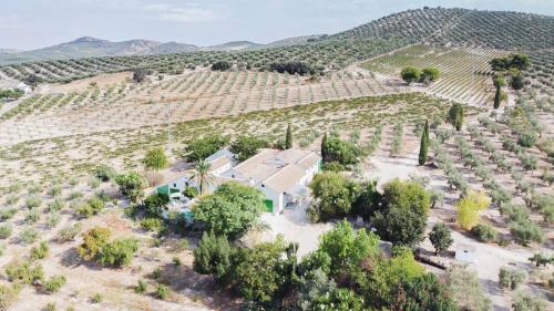 Cortijo Don Simón, Córdoba (photo 4)