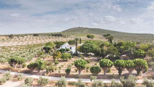  Cortijo Don Simón in Córdoba