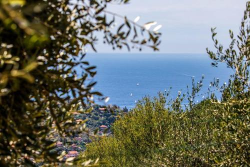 Le Navi In Cielo