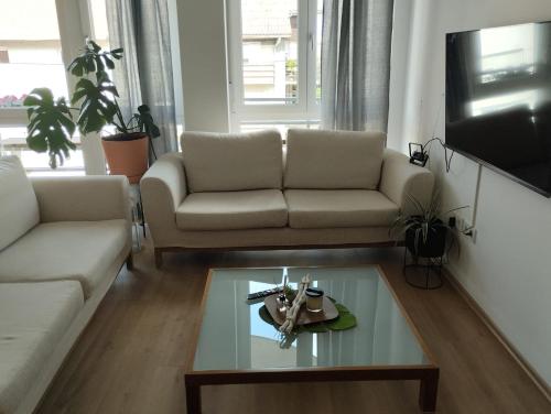 Apartman Zagreb , with balcony and FREE parking