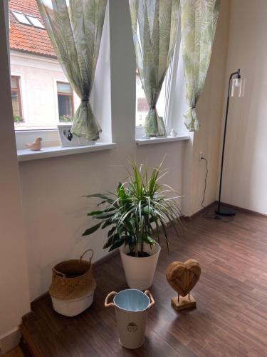 Viesnīcas āriene, Penzion U Radnice in Doksy