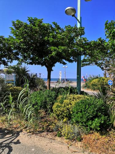 Appartement neuf 40 m² 300 m de la mer - Tap to explore photos
