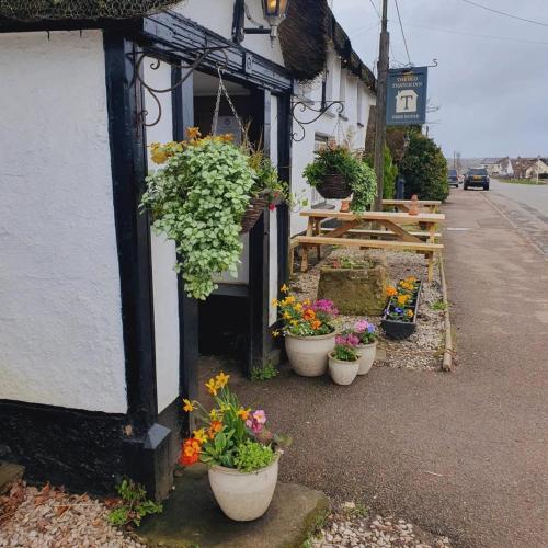 B&B Cheriton Bishop - The Old Thatch Inn - Bed and Breakfast Cheriton Bishop