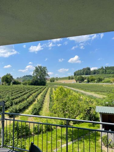 Vistas, Apartment Schendel in Tettnang