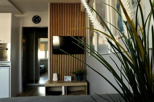 Apartament 8 Piętro Al Wyzwolenia