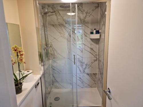 Clearwater Apartment 5