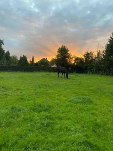 Charming authentic renovated farm