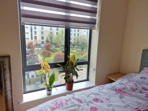 Clearwater Apartment, Dublín (foto 6)