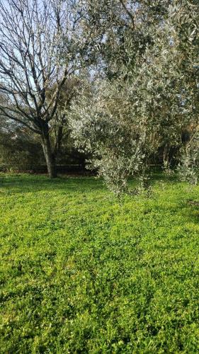 Chambre Zen à la campagne