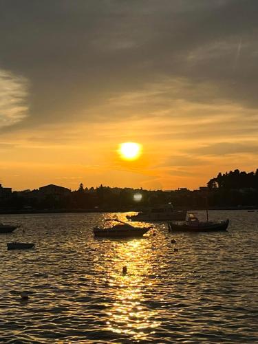 Elegia Apartment Elegia Apartment