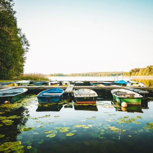 Black Tiger Seaside - Ferienwohnungen direkt am See