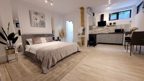 Luxury Mansion Room Type - Standard Studio